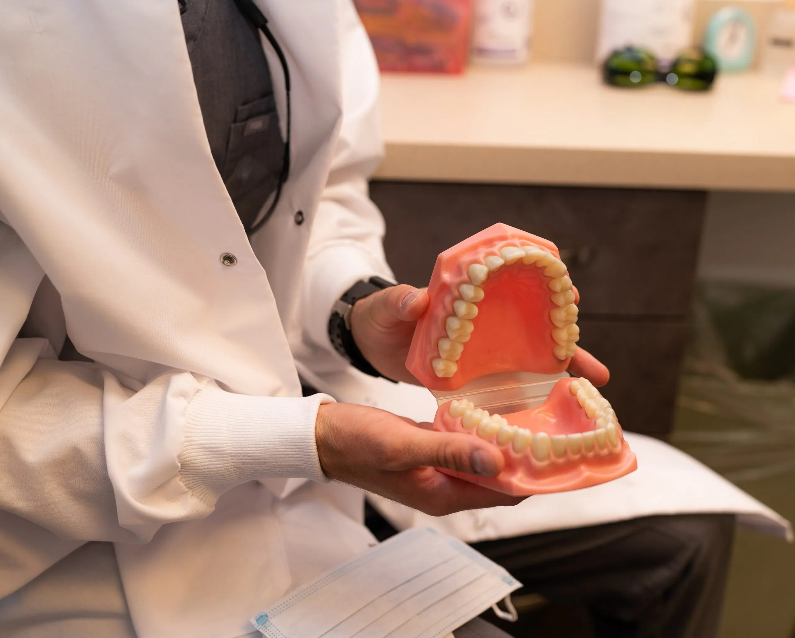 A dentist examining a model of a patient’s bite during a screening